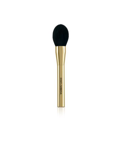 Powder & Highlighter Brush