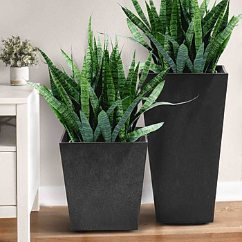 Sonata slate indoor plants.jpg