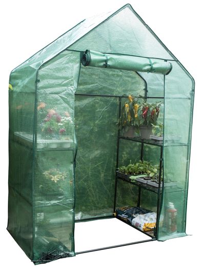 Walk In Greenhouse