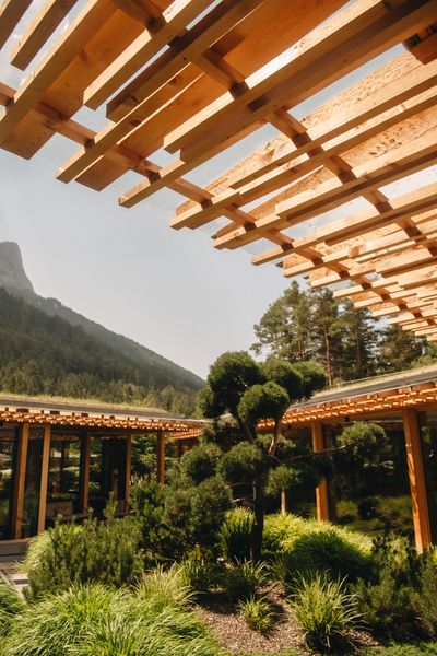 _7810280.jpg