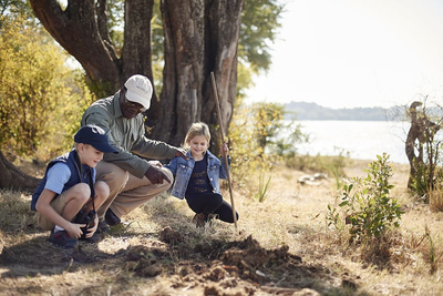 Victoria Falls River Lodge, Zimbabwe.png