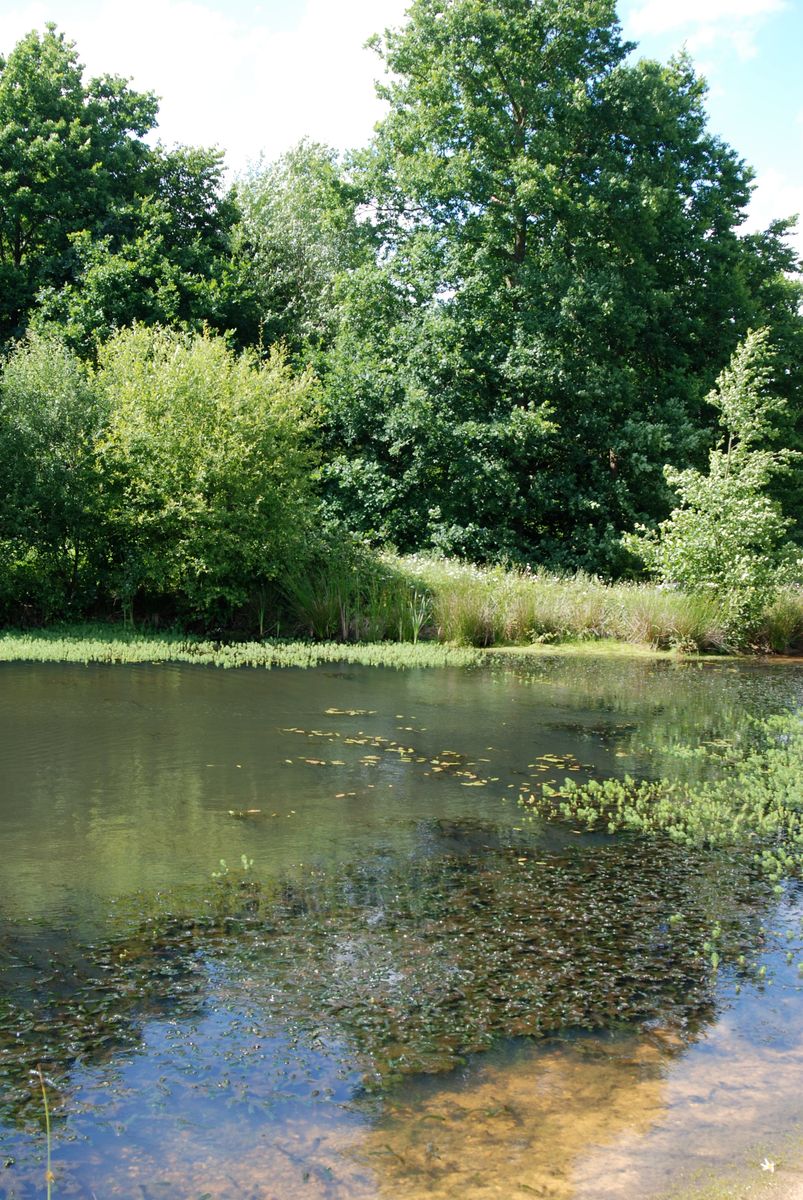 Woodlands.co.uk                                                                                                      