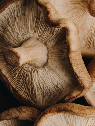 YERA-Details-1©Charlotte Lapalus-FORESTIS (16).jpg