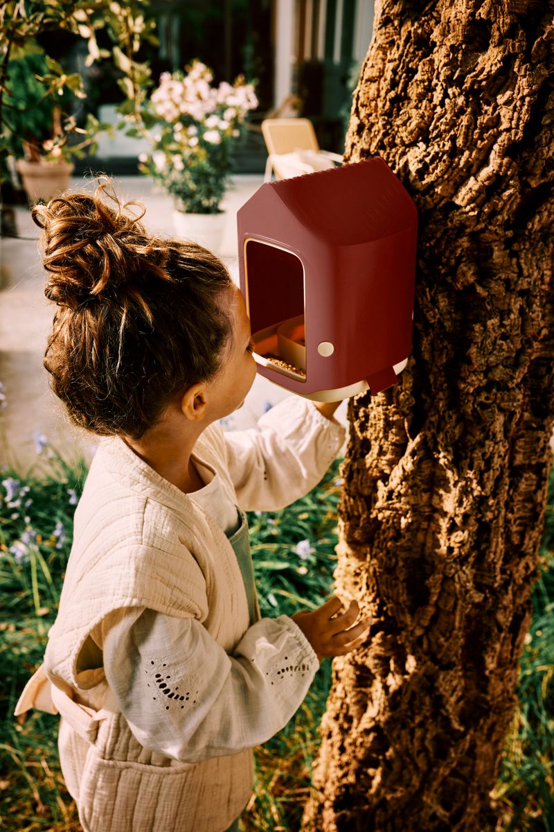 B's cosy bird feeder