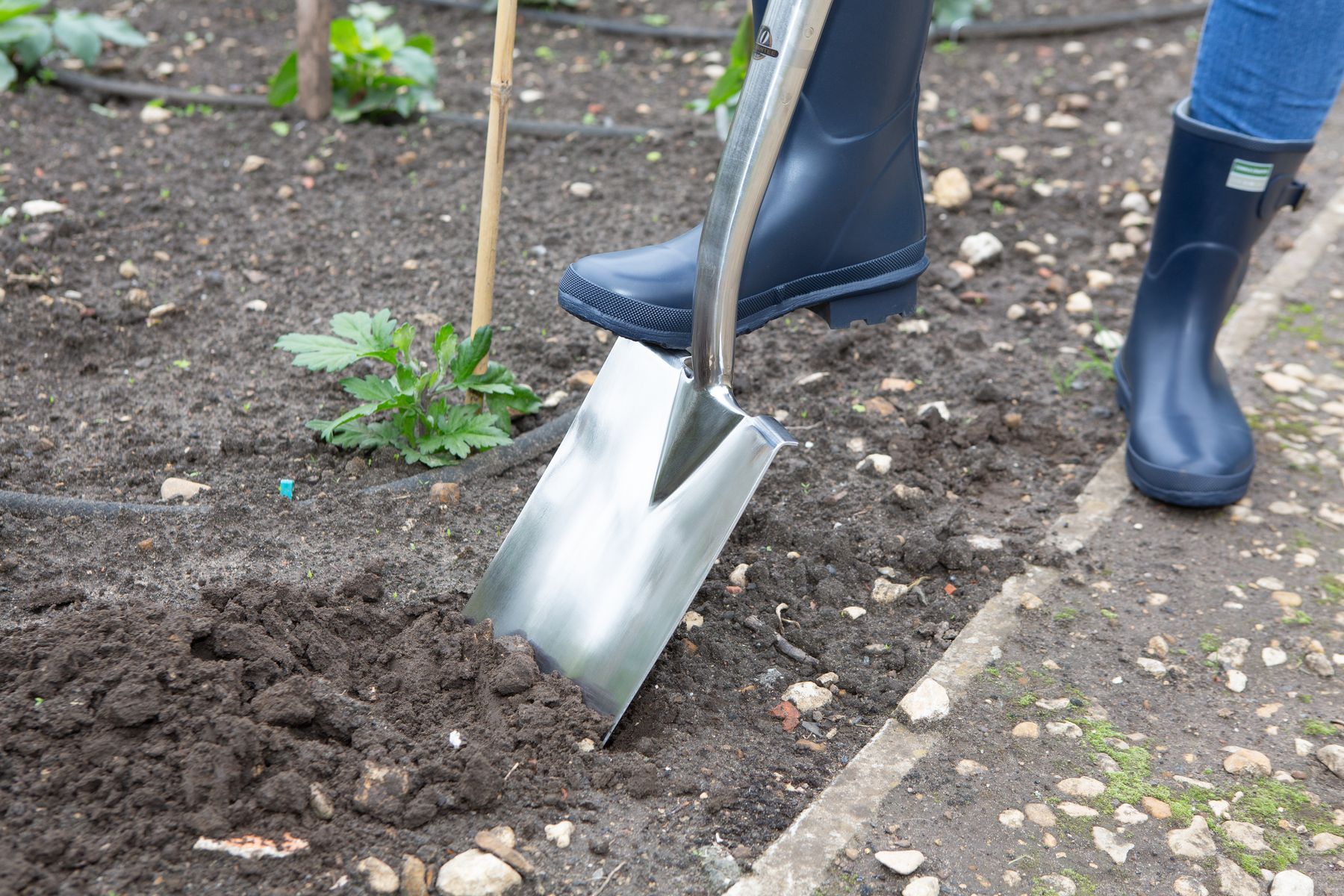 Stainless Steel Digging Spade
