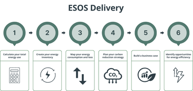 ESOS-Delivery-Process