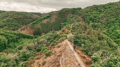 Lee-Trail-Molberlee-2025-LPB31-©Leptitbaroudeur.jpg