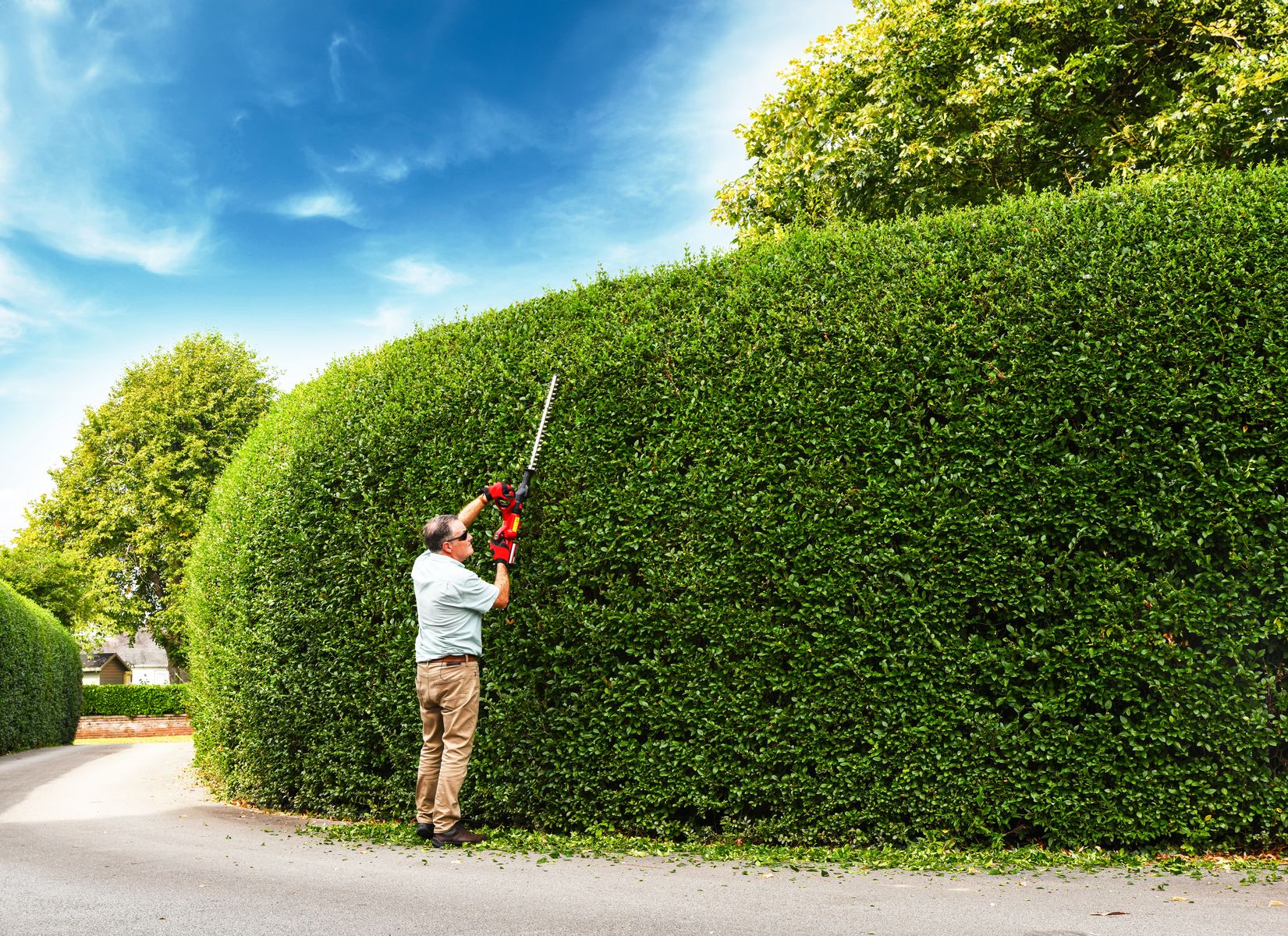 HT50LRH24V 2-in-1 Hedgetrimmer