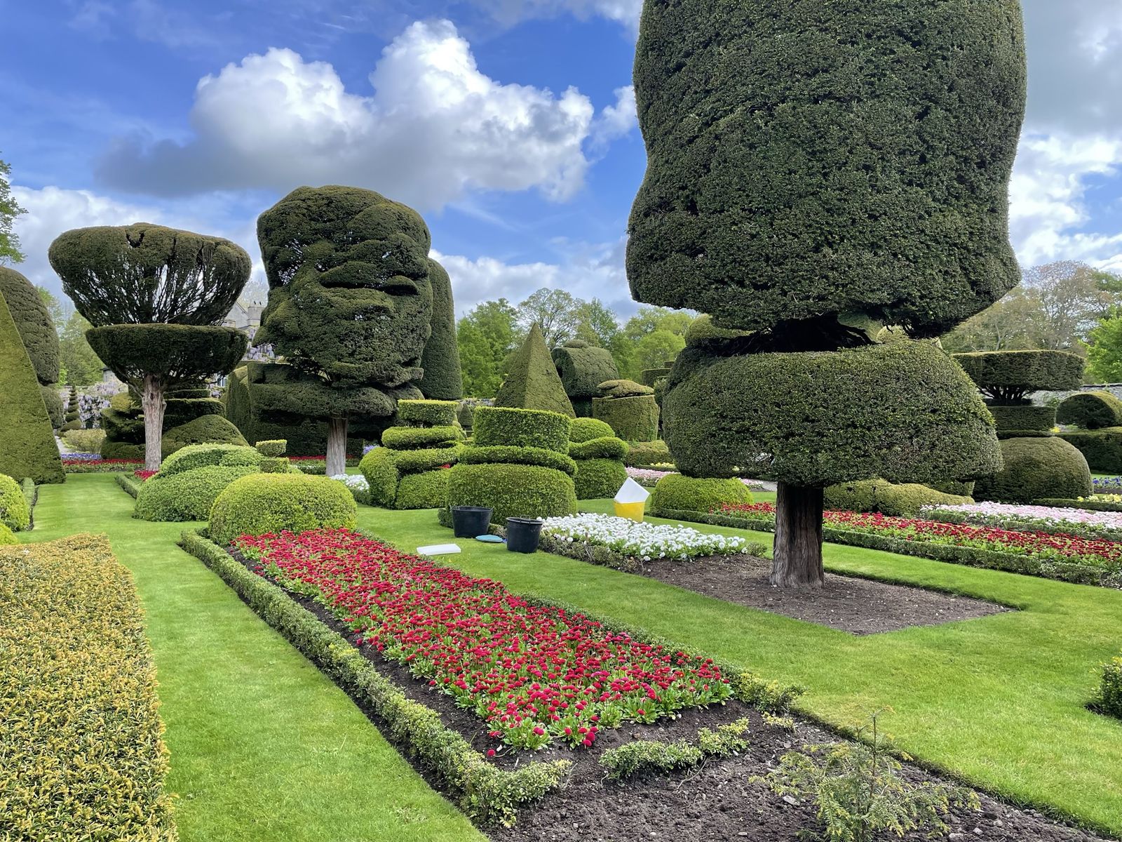 Part of the topiary garden at Levens Hall and Gardens, Cumbria