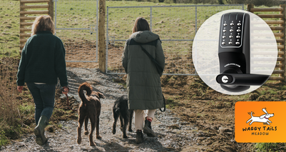 Waggy Tails Meadow - Case Study.png