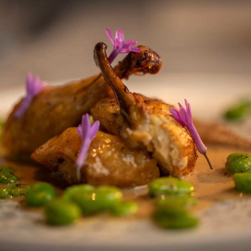 Poussin with Broad Beans and a Creamy Cepe Mushroom Sauce