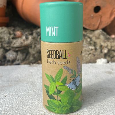 Mint tube