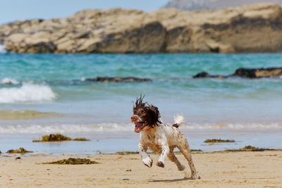 Constantine-Bay (1).jpg