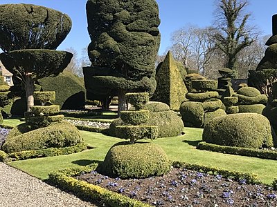 Topiary at Levens Hall, Cumbria, UK