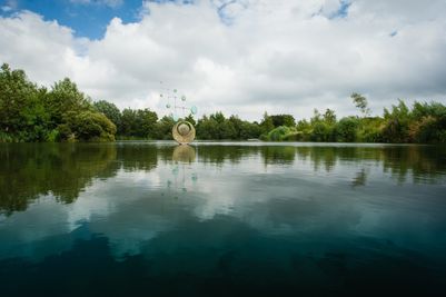 Disappearing Worlds by Simon Gudgeon - Sculpture by the Lakes.jpg