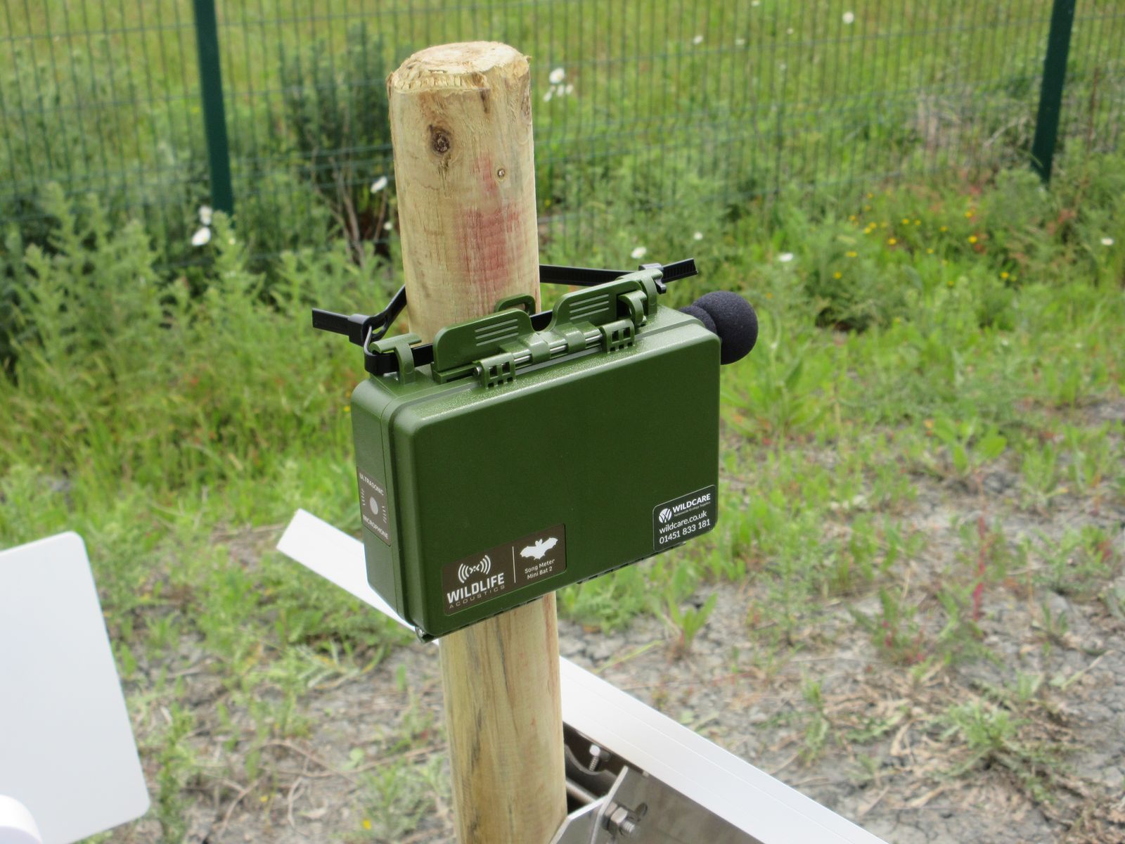 Device on Post.JPG