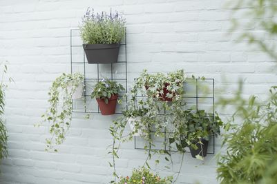 Loft urban green wall rack