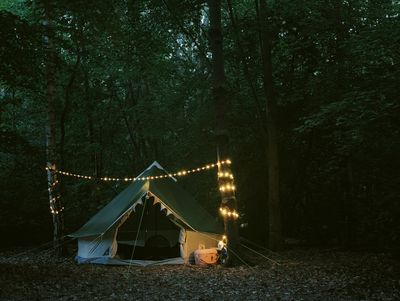 Little Nas Woods 4.jpg