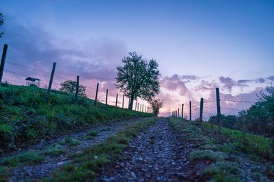 LeeTrail_3©LFT_AlfonsoSalgueiro.jpg