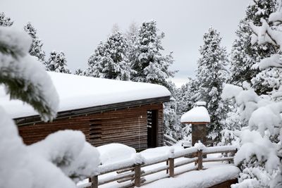 OdlesLodge-Nature-Winter-©Odles Lodge_Konstantin Volkmar (20).jpg