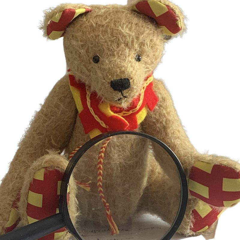 Northumberland Day mascot, Northumbear, ready with his magnifying glass at hand, for the What Is It? Where Is It? Challenge.