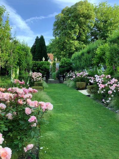Pashley Manor Gardens - Rose Walk