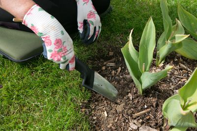 Ultralight Stainless Steel Trowel