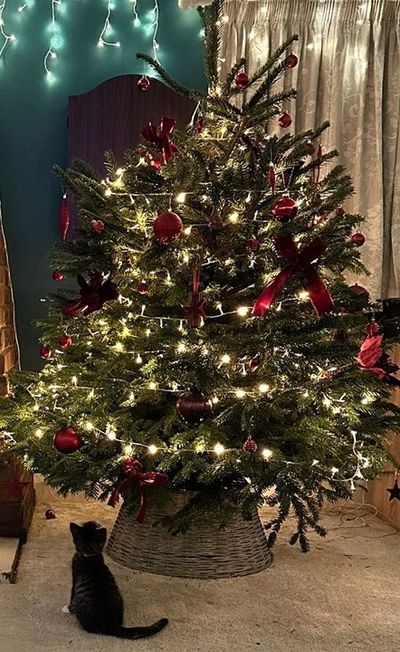 xmas tree 1.jpg