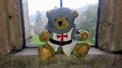 Langley Bear in a window  at Langley Castle Hotel, Northumberland, UK. 