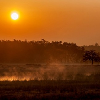 Kanha National Park Singinawa Wild Central India.jpg