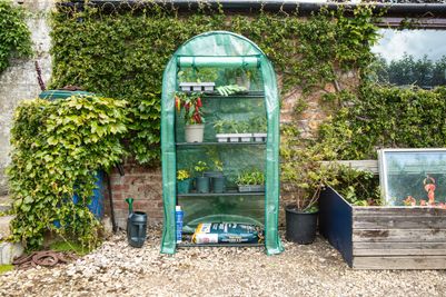 4 Tier Extra Wide Greenhouse – RRP £47.99 