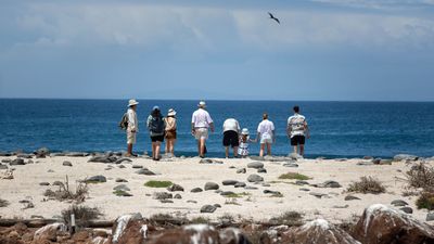 montemar-group-travel-galapagos.jpg