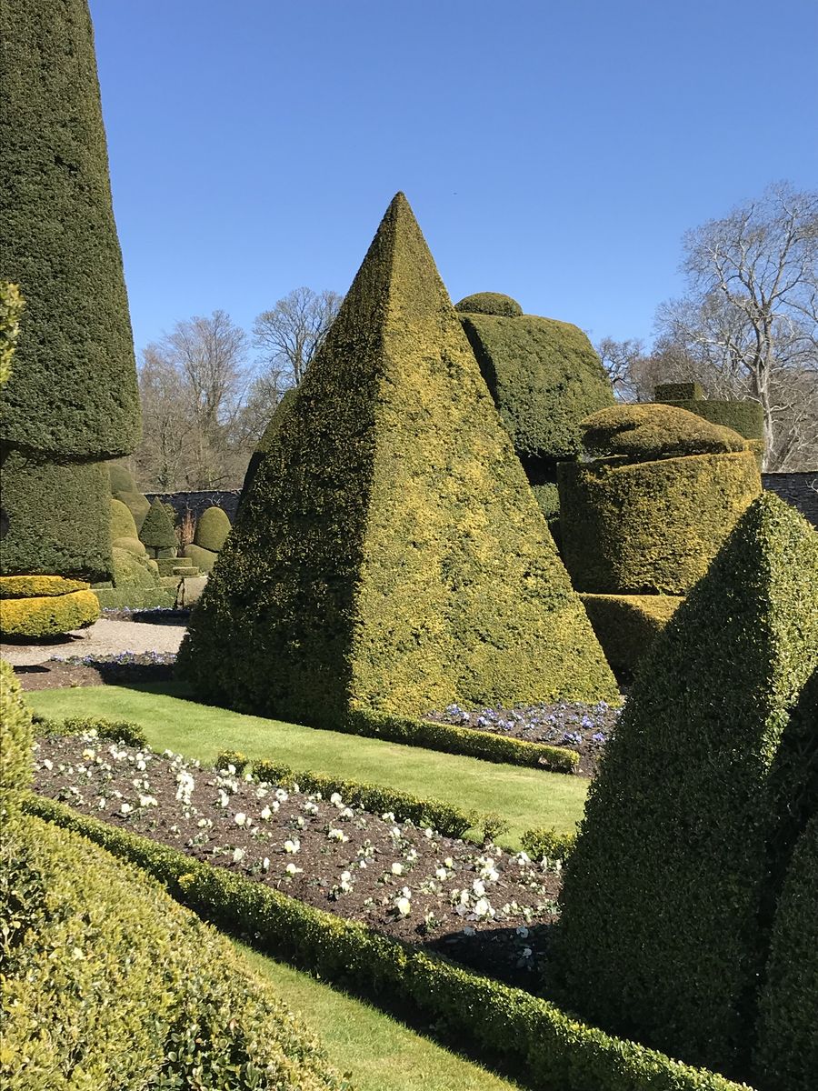 Topiary at Levens Hall, Cumbria, UK