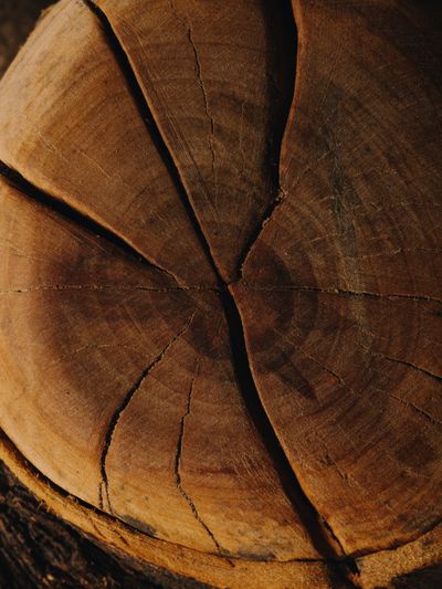 YERA-Details-1©Charlotte Lapalus-FORESTIS (22).jpg