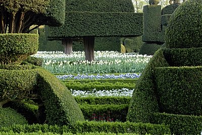 The world's oldest topiary garden at Levens Hall and Gardens, Cumbria, UK.