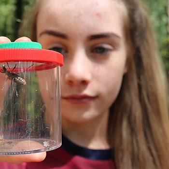 New natural history GCSE 'major win' for young people and the environment.jpg
