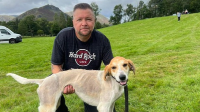 Huntsman's Quantum, winner of the Fell Hound Derby at Grasmere Lakeland Sports and Show 2023