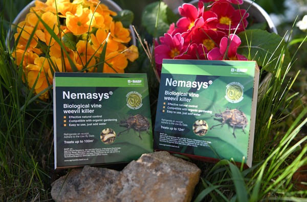 Nemasys Biological Vine Weevil Killer