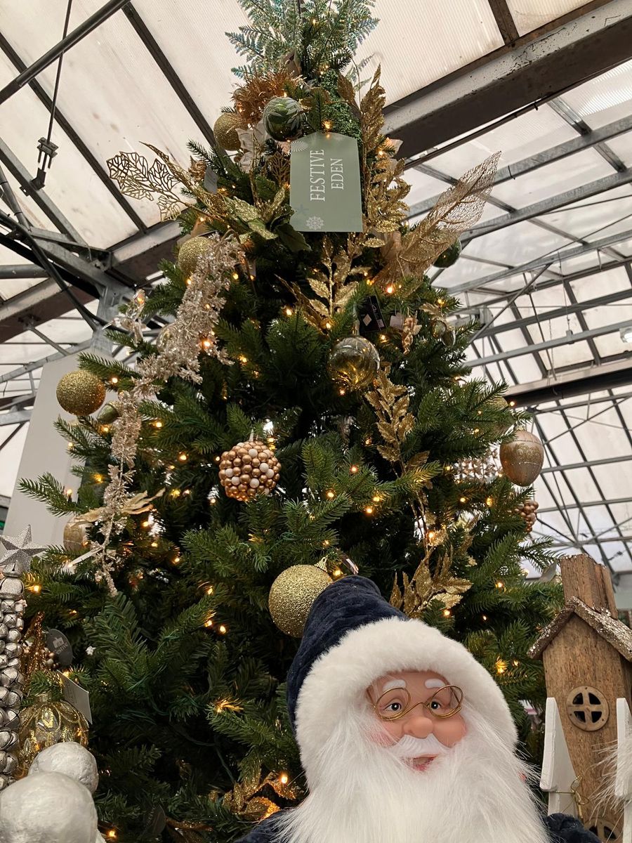 Hillier Garden Centres and Nurseries - Christmas 2024