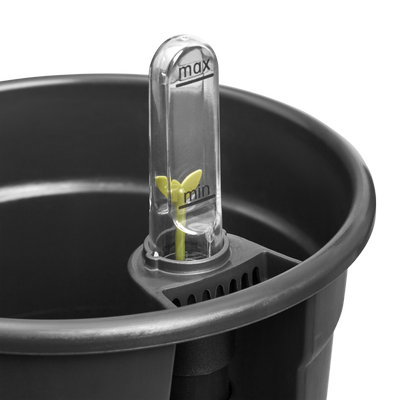 self-watering insert
