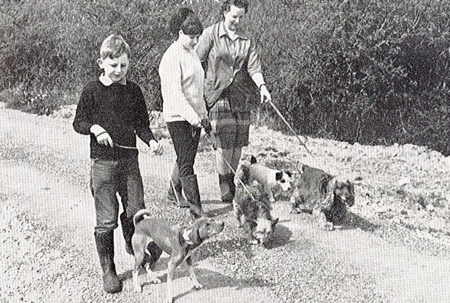 ARCHIVE IMAGE - 1968 Dog Walking - Margaret Green Animal Rescue.jpg
