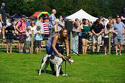 Grasmere Lakeland Sports and Show Owner and Dog Compete