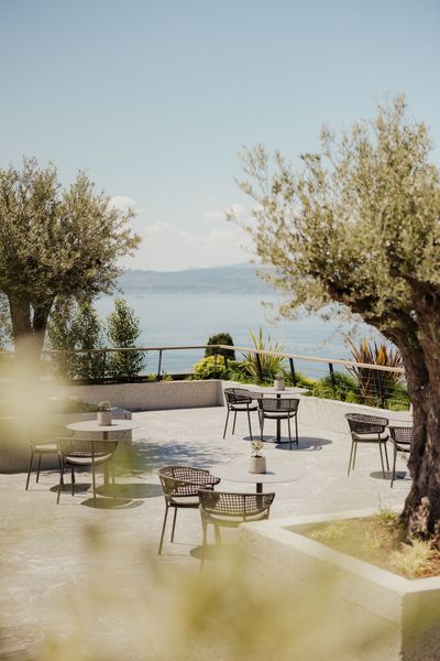 Alex_Moling_web_Terrazza_degli_ulivi_2.jpg