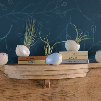2000px Habulous, Ceramic Bird Airplant Holders, £27.5, 7913006.jpg
