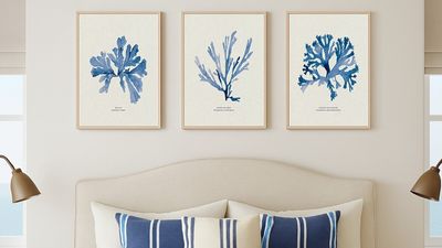 Suggested Header Set of 3 Indigo Seaweed Paintings - Seaweed Art Prints  - Natural Frame.jpg
