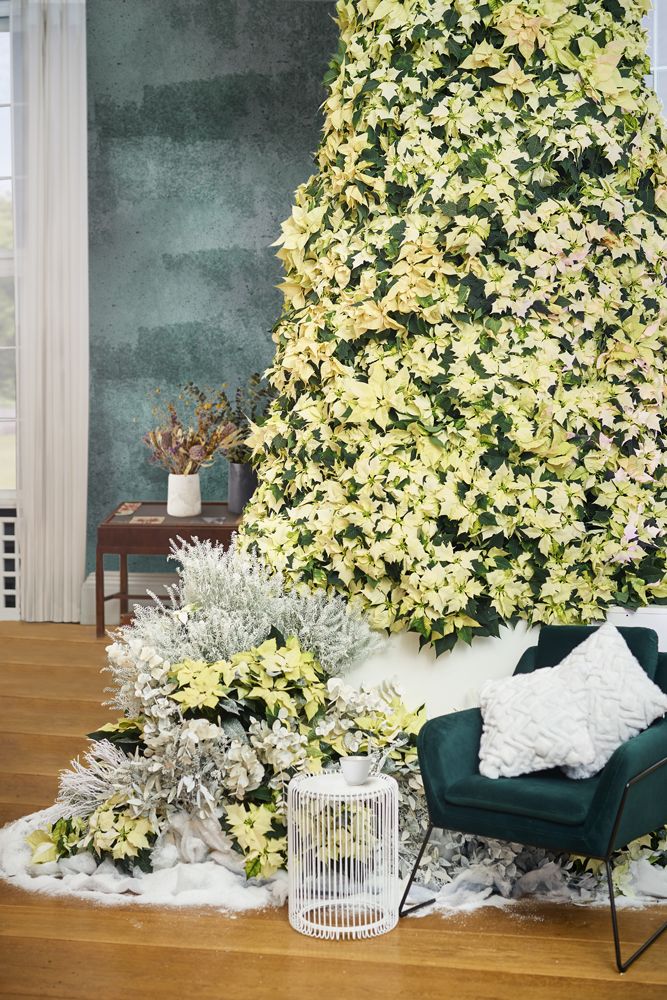 2020_poinsettia_06000_Christmas_floral_creativity_26.jpg