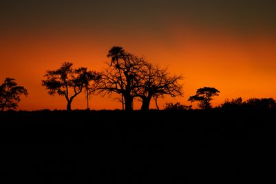 2022_Asilia Fam_Jabali Ridge_Tanzania_Ruaha National Park_Justin_Lodge Exterior_Sunset_.JPG