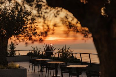 Restaurant_AlexMoling_CapeOfSenses-351.jpg