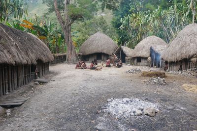 ED_Papua_New_Guinea0306.jpg