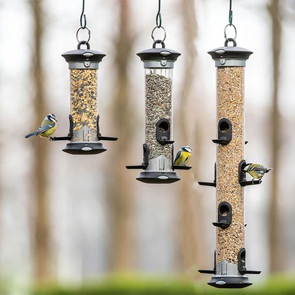Apollo Seed Feeder.webp